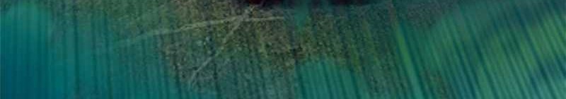 Forged Immortal Chapter 18 Gambar 5