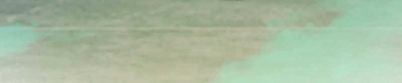 Forged Immortal Chapter 18 Gambar 14