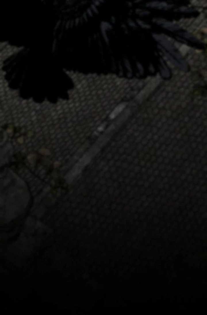 The Silent Warrior Chapter 11 Gambar 31