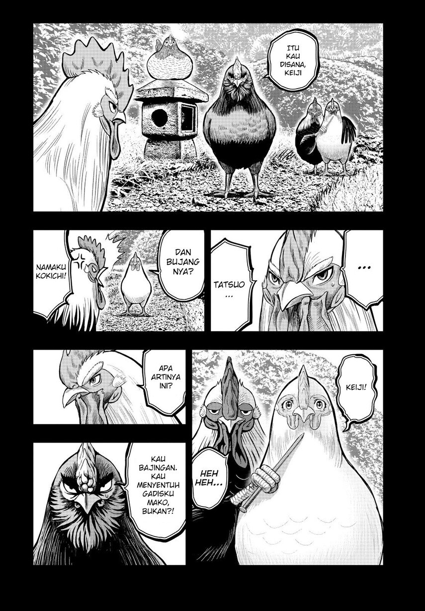 Rooster Fighter Chapter 11 Gambar 20