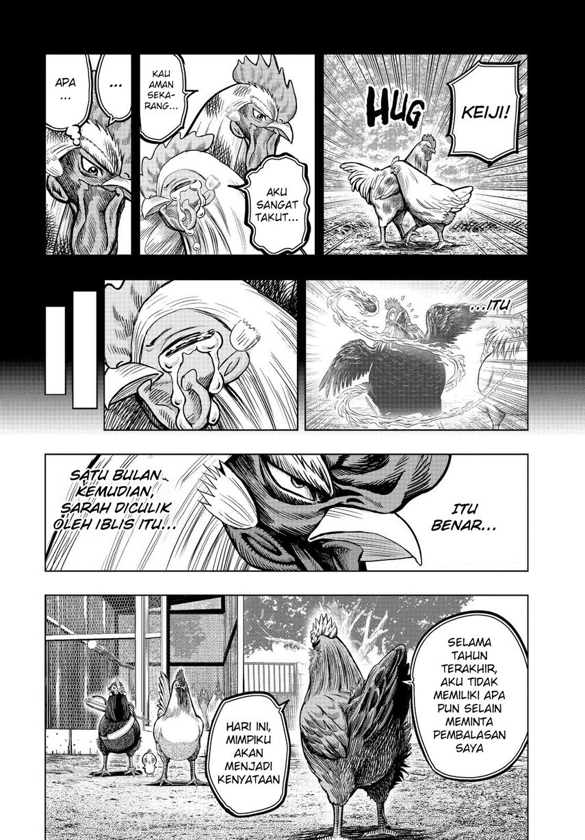 Rooster Fighter Chapter 11 Gambar 26
