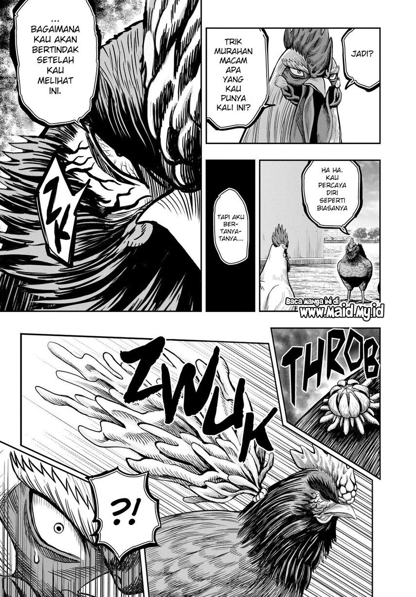 Rooster Fighter Chapter 11 Gambar 27