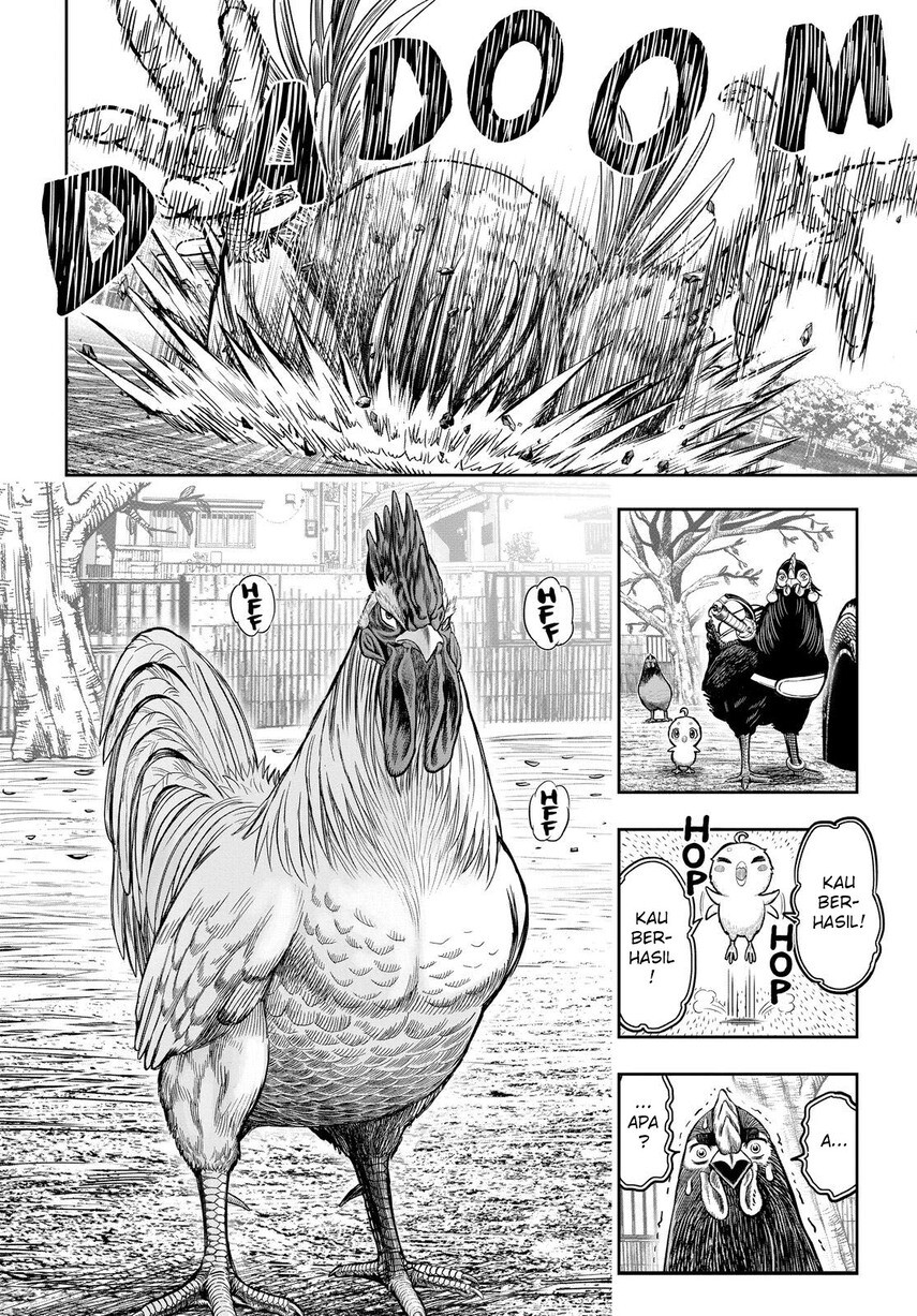 Rooster Fighter Chapter 11 Gambar 46