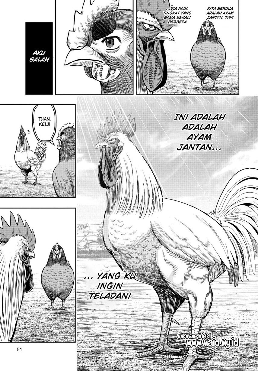 Rooster Fighter Chapter 11 Gambar 49