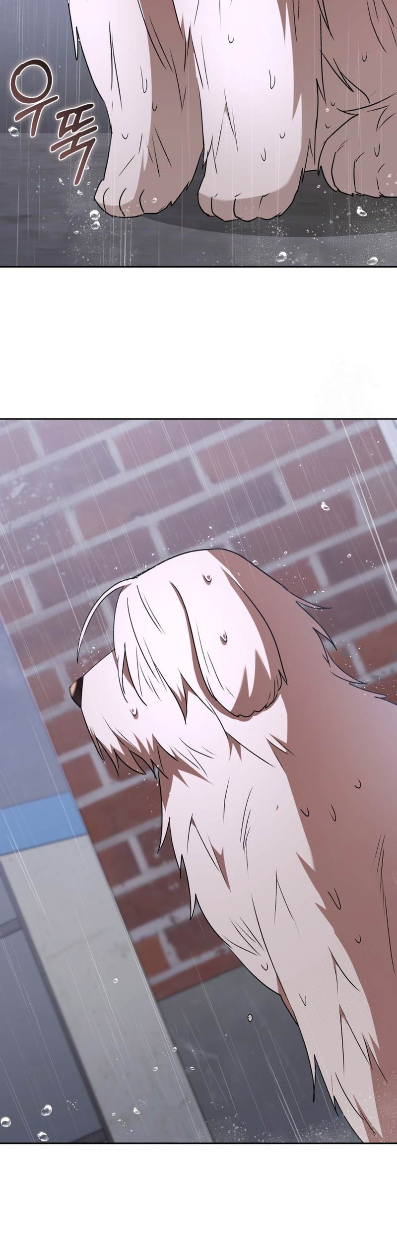 Hello? Veterinarian! Chapter 58 Gambar 49