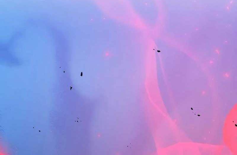 I Became a Renowned Family’s Sword Prodigy Chapter 125 Gambar 18