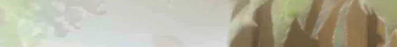 I Have 90 Billion Licking Gold Chapter 319 Gambar 16