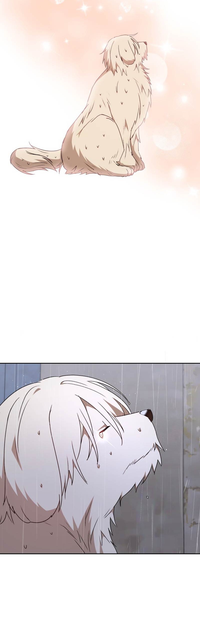 Hello? Veterinarian! Chapter 59 Gambar 57