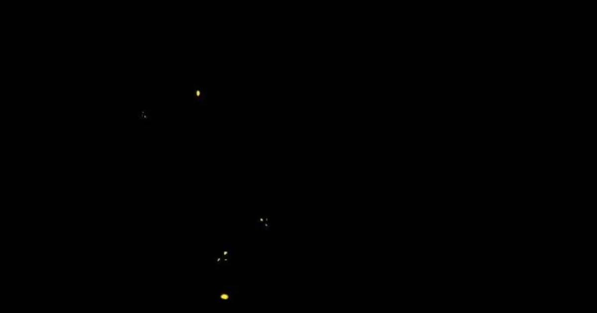 The Young Emperor Is Obsessed With Me Chapter 22 Gambar 4