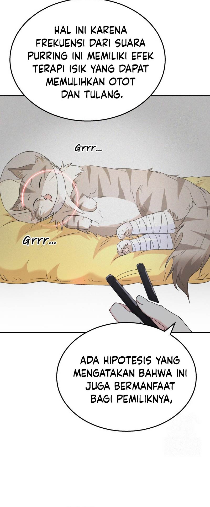Hello? Veterinarian! Chapter 62 Gambar 5