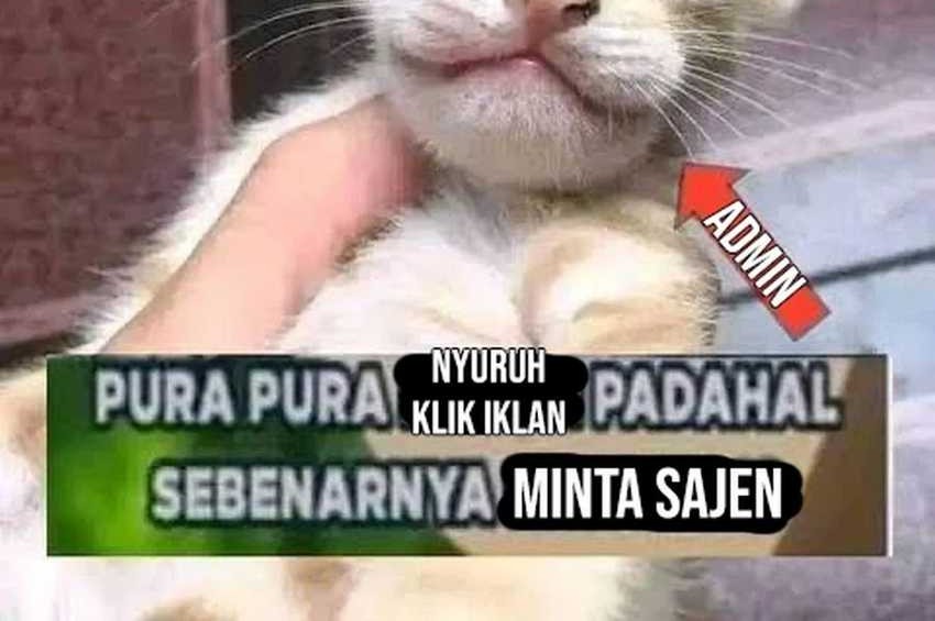I’m A Peerless Master Chapter 71 Gambar 47