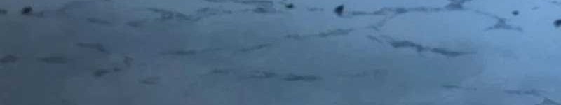 Foreigner on the Periphery (Remake) Chapter 50 Gambar 111