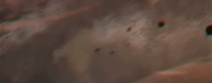 I Really Don’t Want to Learn Forbidden Spells Chapter 75 Gambar 31