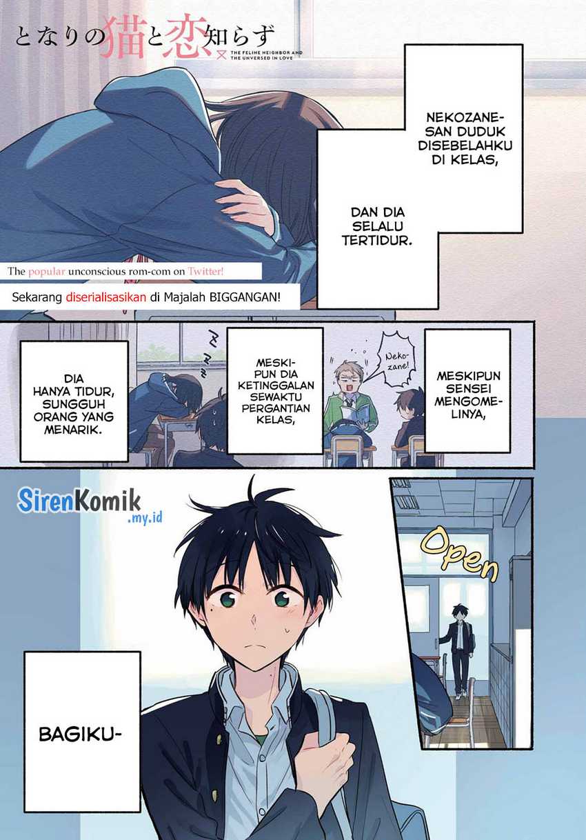 Baca Tonari no Neko to Koi Shirazu Chapter 13 Gambar 2