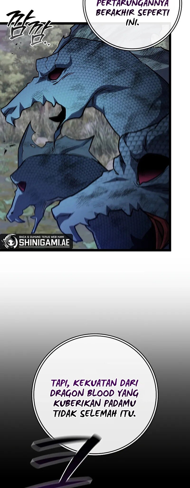 Dragon-Devouring Mage Chapter 81 Gambar 60