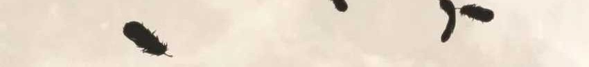 I Have 90 Billion Licking Gold Chapter 415 Gambar 24