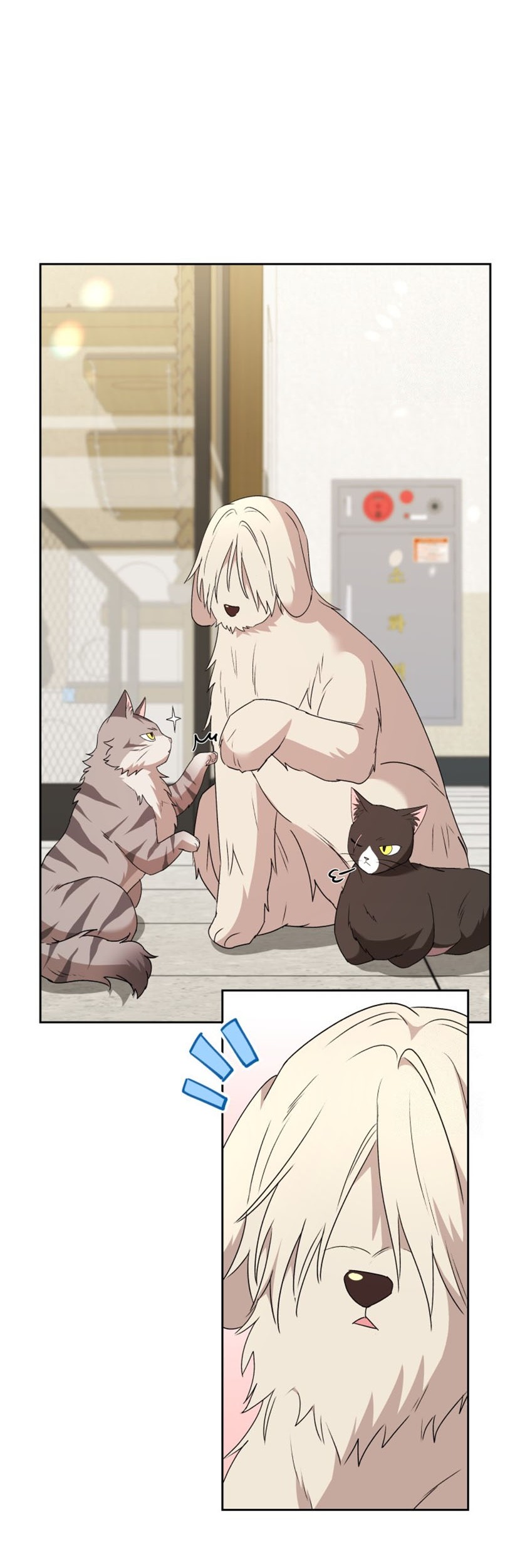Hello? Veterinarian! Chapter 73 Gambar 17