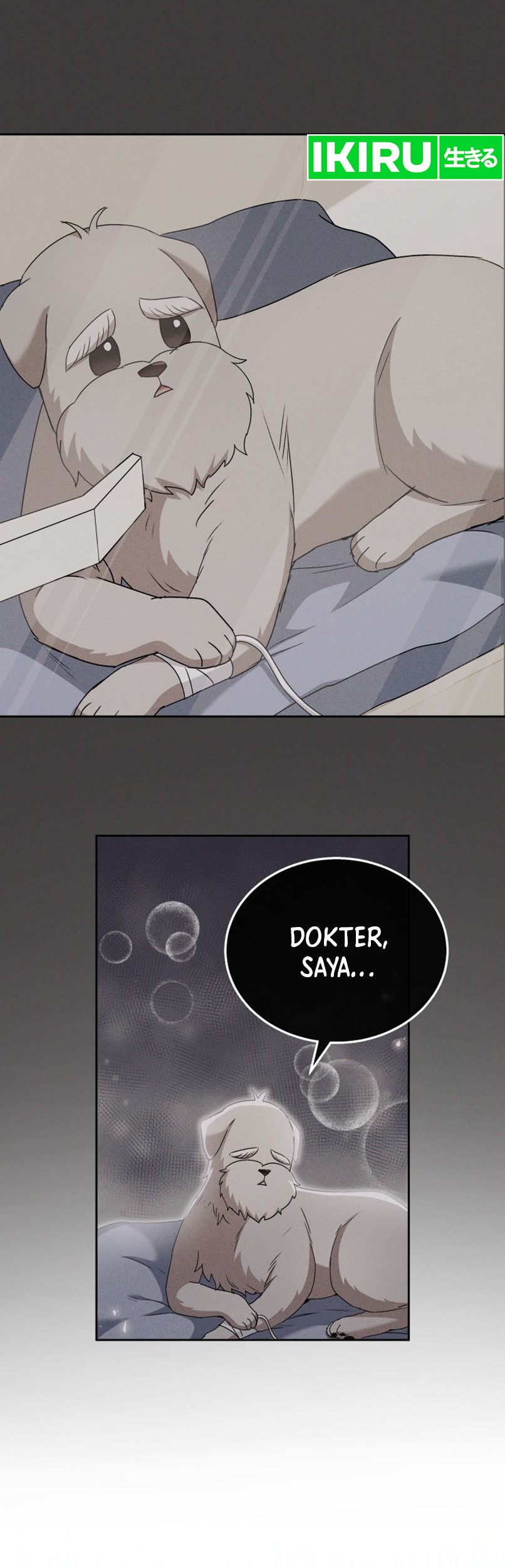 Hello? Veterinarian! Chapter 73 Gambar 47