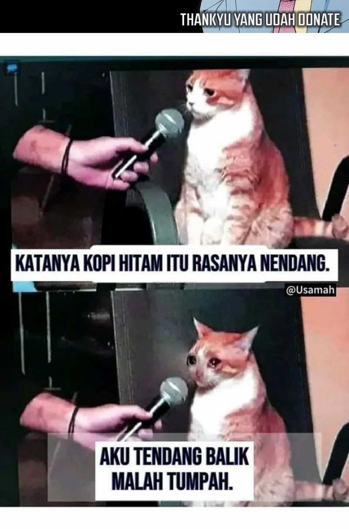 What Do You Do If the Heroine Escapes From Your Novel Chapter 85 Gambar 38