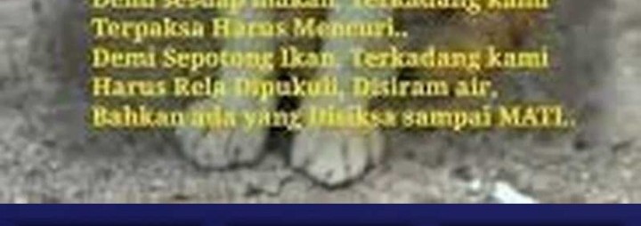 What Do You Do If the Heroine Escapes From Your Novel Chapter 84 Gambar 39