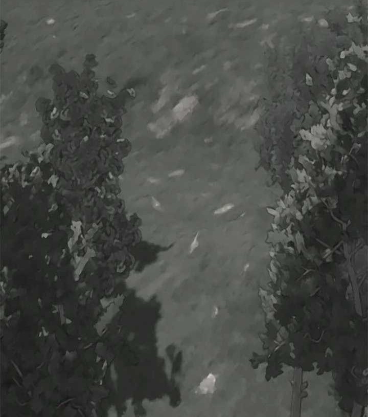 Invincible Territory Chapter 27 Gambar 63