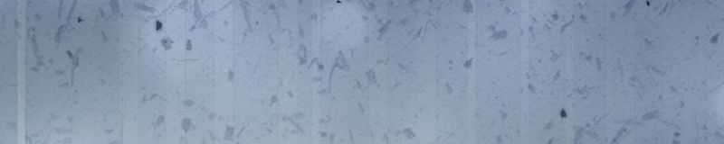 The Prodigal Taoist Son Chapter 03 Gambar 14