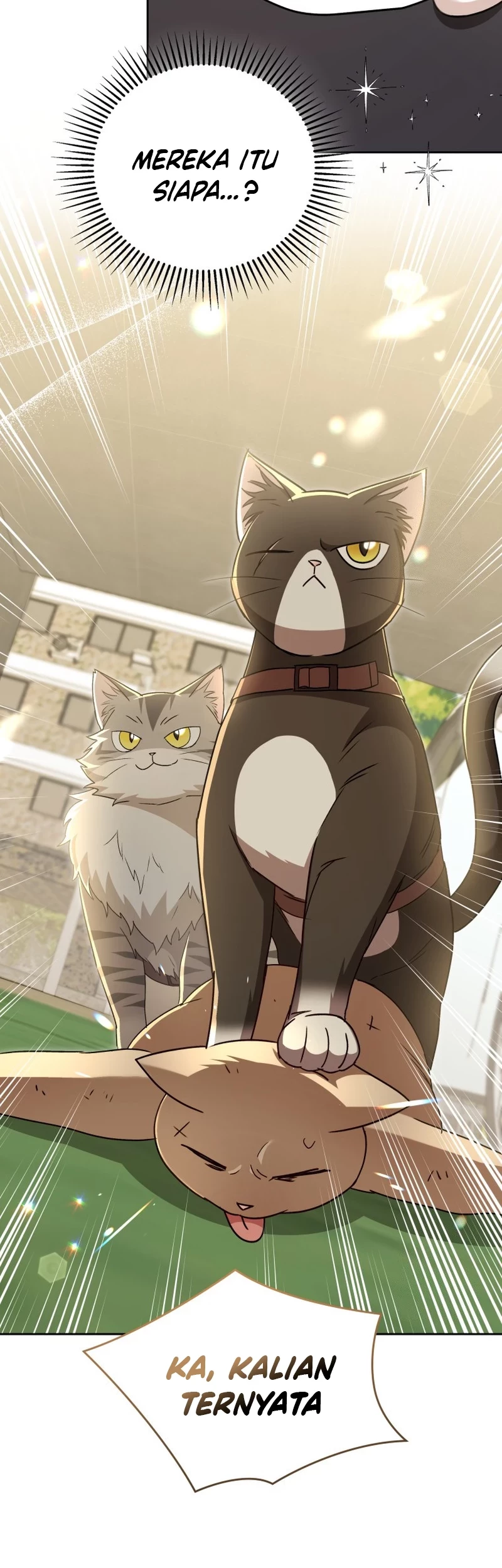 Hello? Veterinarian! Chapter 77 Gambar 15