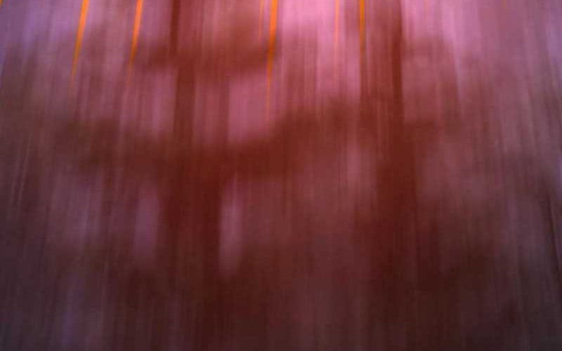 I am Self-disciplined And Invincible Chapter 52 Gambar 30