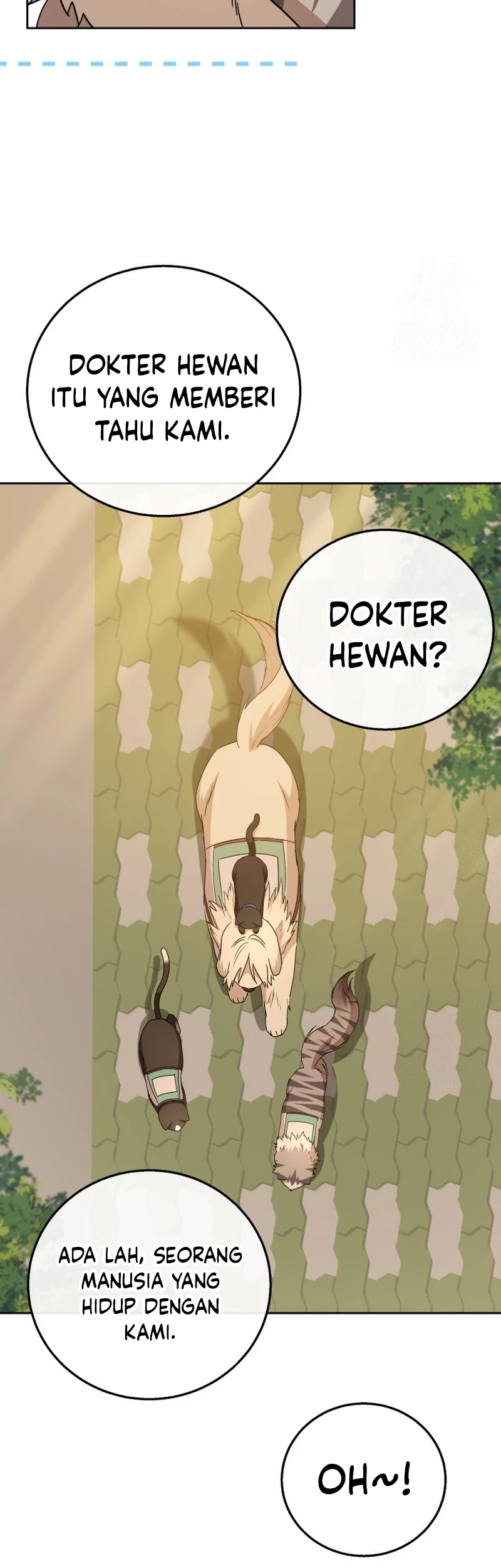 Hello? Veterinarian! Chapter 78 Gambar 5