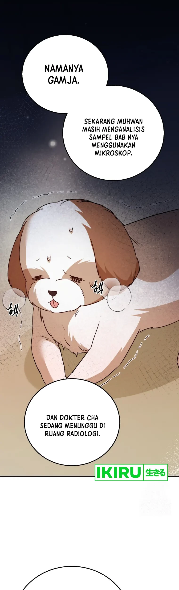 Baca Hello? Veterinarian! Chapter 80 Gambar 2