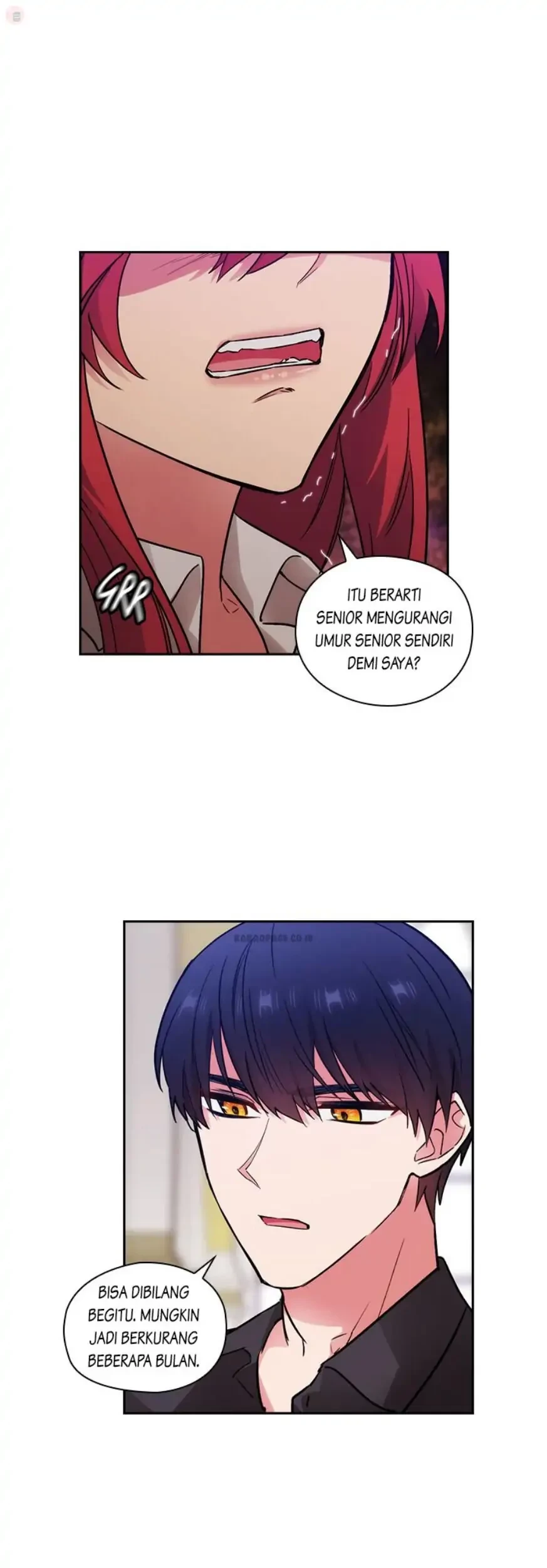 Baca Komik ADONIS Chapter 131 Gambar 1