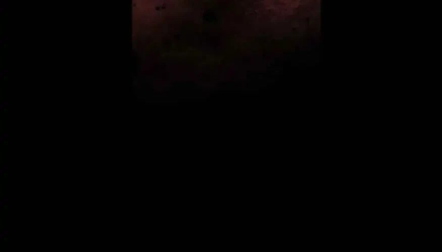 ADONIS Chapter 64 Gambar 18