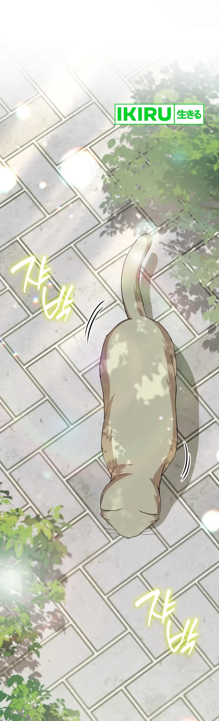 Baca  Hello? Veterinarian! Chapter 81 Gambar 2