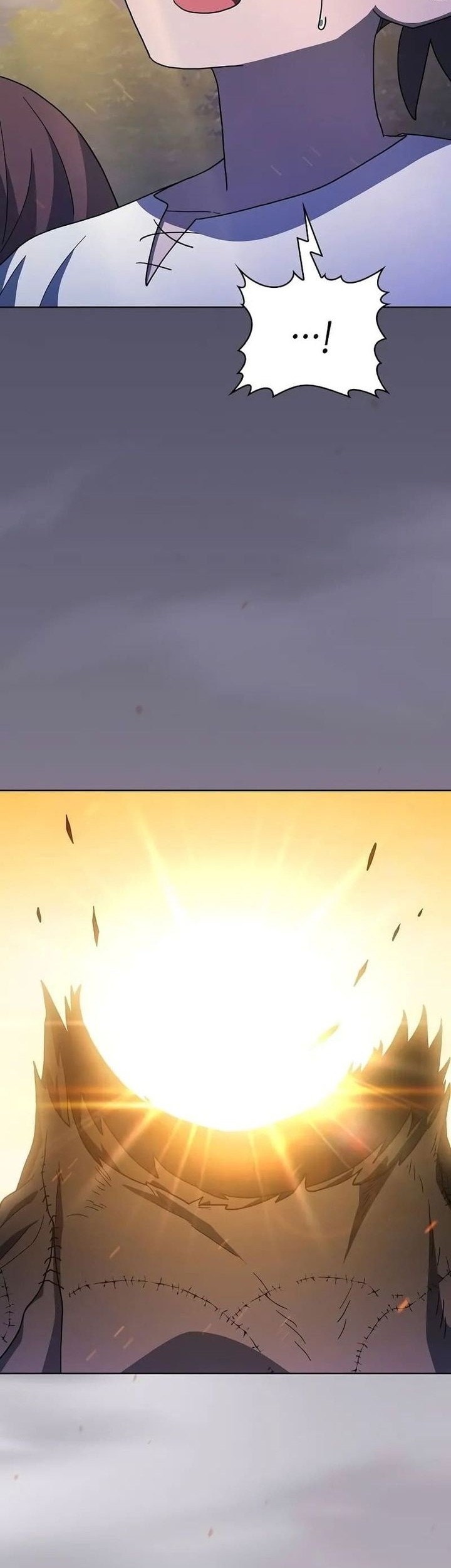 The Nebula’s Civilization Chapter 67 Gambar 49