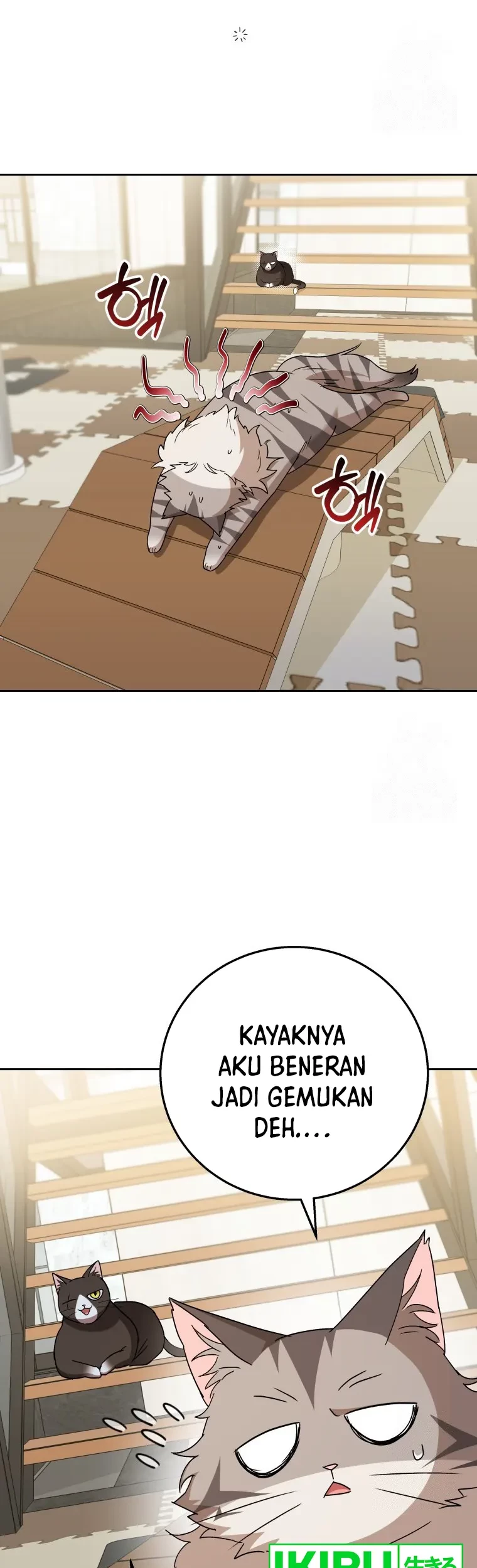 Hello? Veterinarian! Chapter 84 Gambar 17
