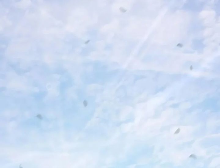 Executioner Chapter 49 Gambar 55