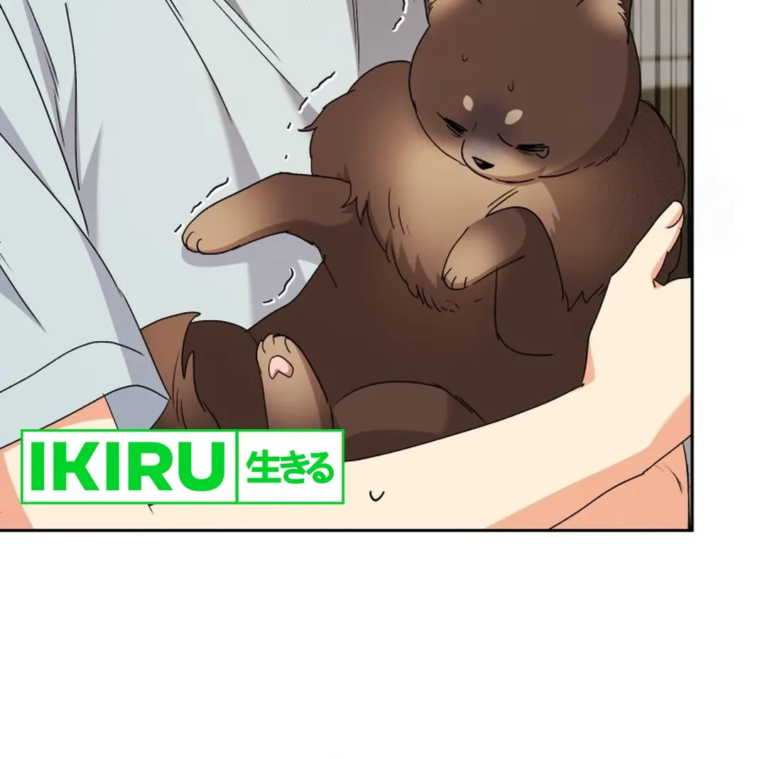 Hello? Veterinarian! Chapter 88 Gambar 66