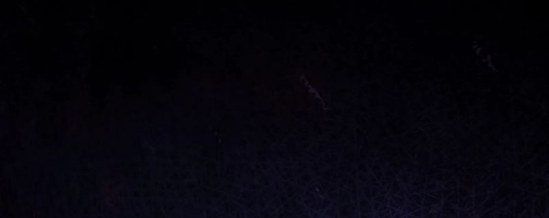 Sleeping Ranker Chapter 102 Gambar 91