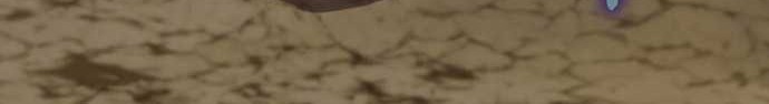 Doctor’s Rebirth Chapter 131 Gambar 63