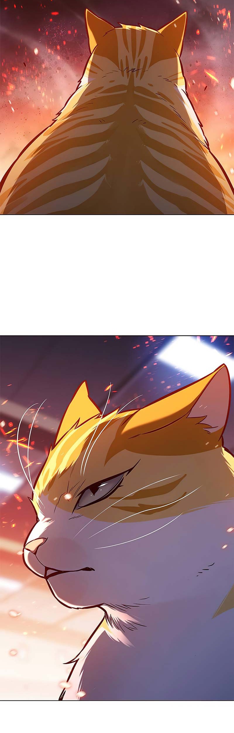Eleceed Chapter 163 Gambar 9