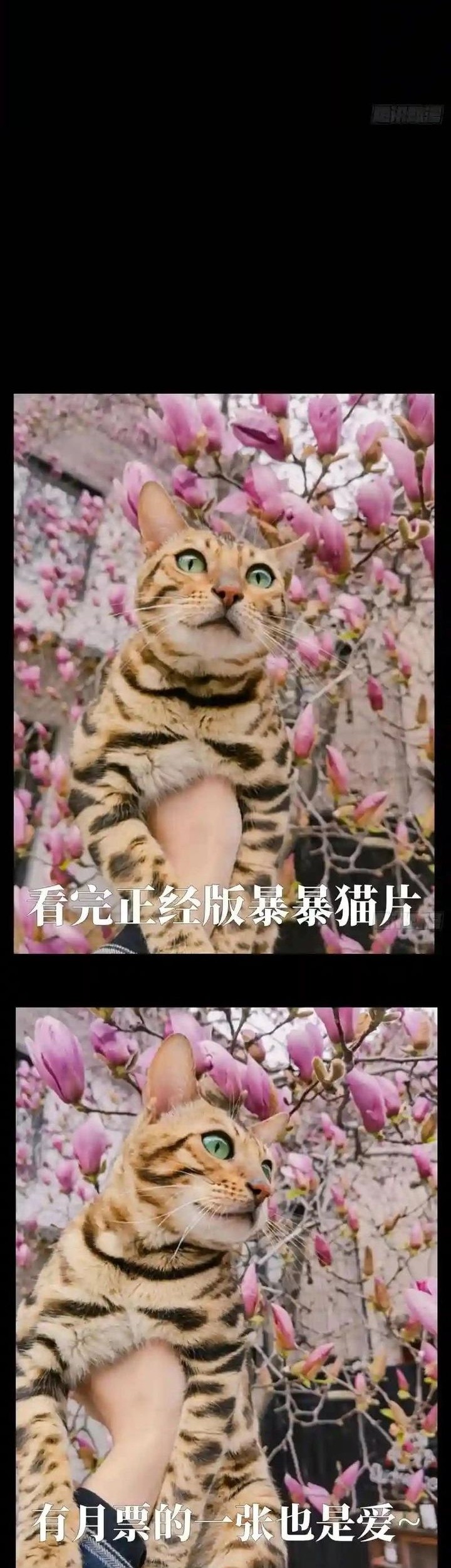 Da Xiang Wuxing Chapter 127 Gambar 4