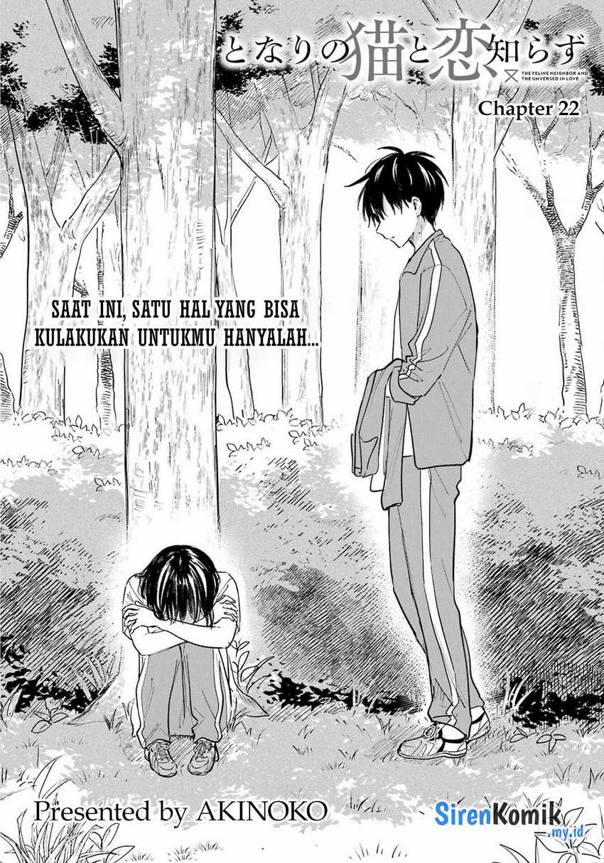 Tonari no Neko to Koi Shirazu Chapter 22 Gambar 5