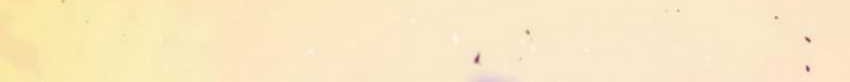 Surviving with a SSS-Rank Inventory Chapter 63 Gambar 55