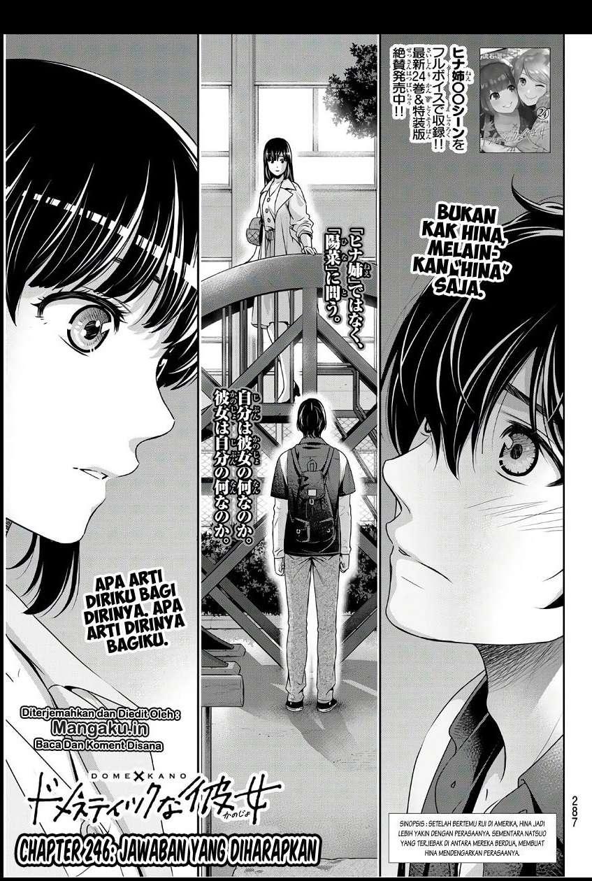 Baca Manga Domestic na Kanojo Chapter 246 Gambar 2