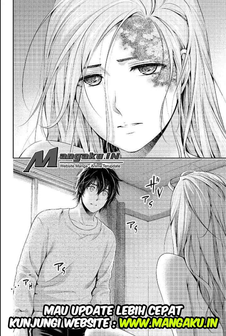 Domestic na Kanojo Chapter 219 Gambar 19