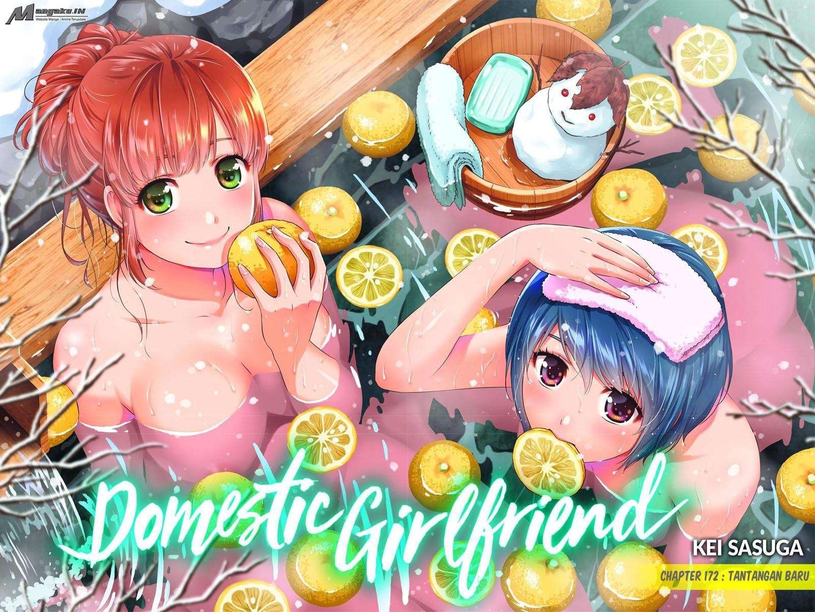 Baca  Domestic na Kanojo Chapter 172 Gambar 2