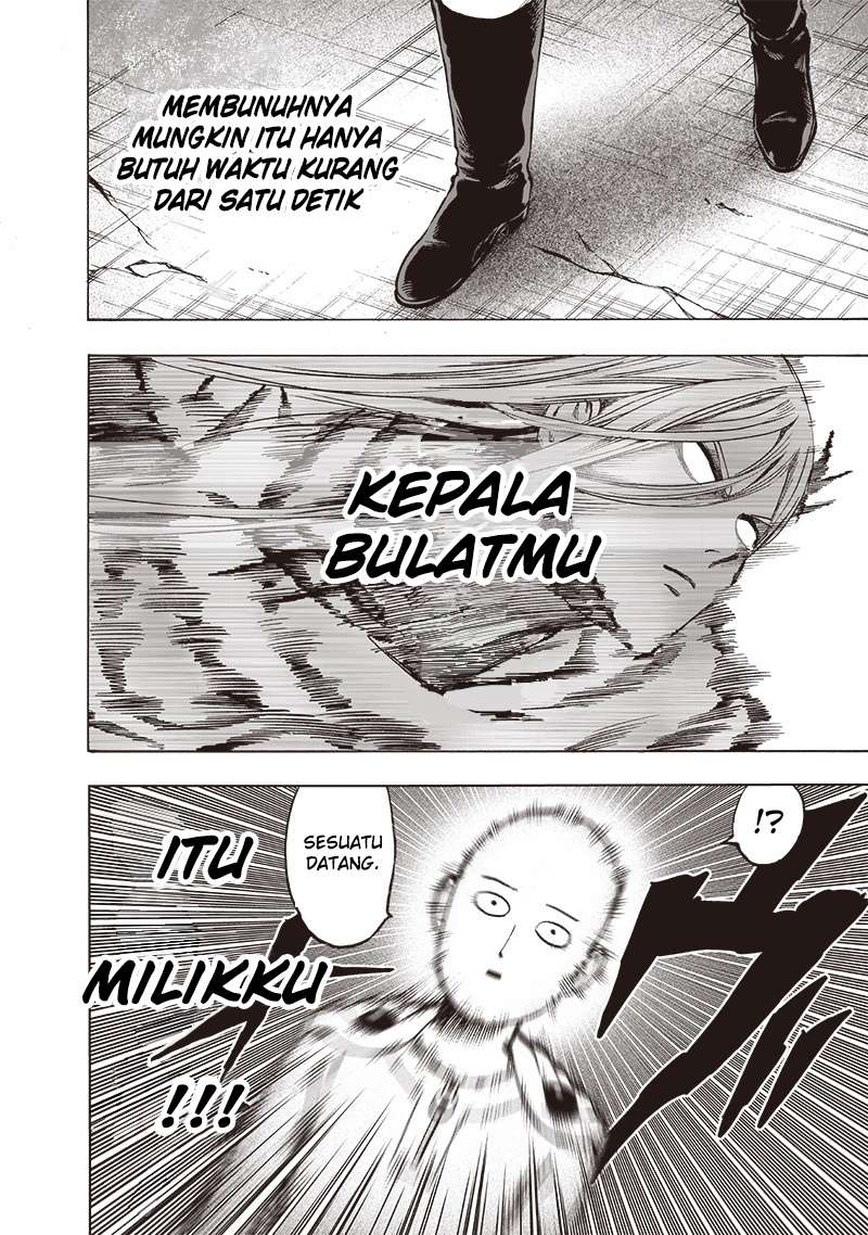 One Punch Man Chapter 165 14