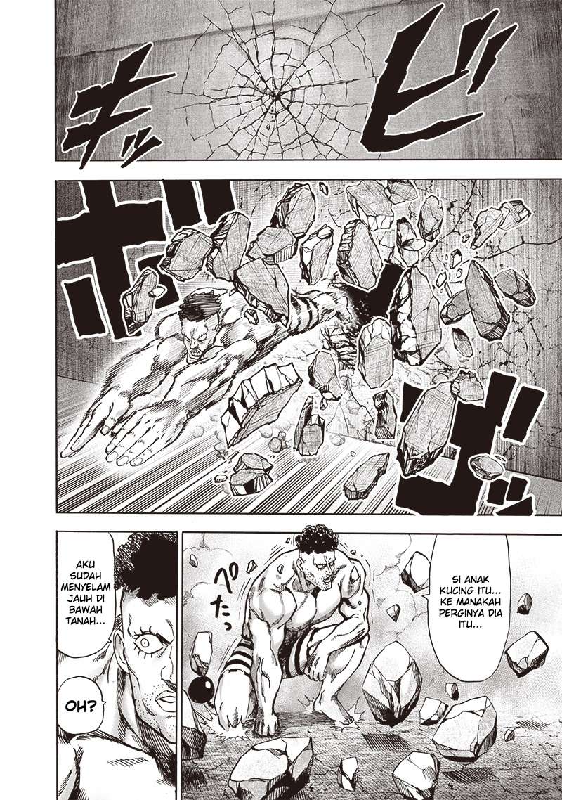 One Punch Man Chapter 165 3
