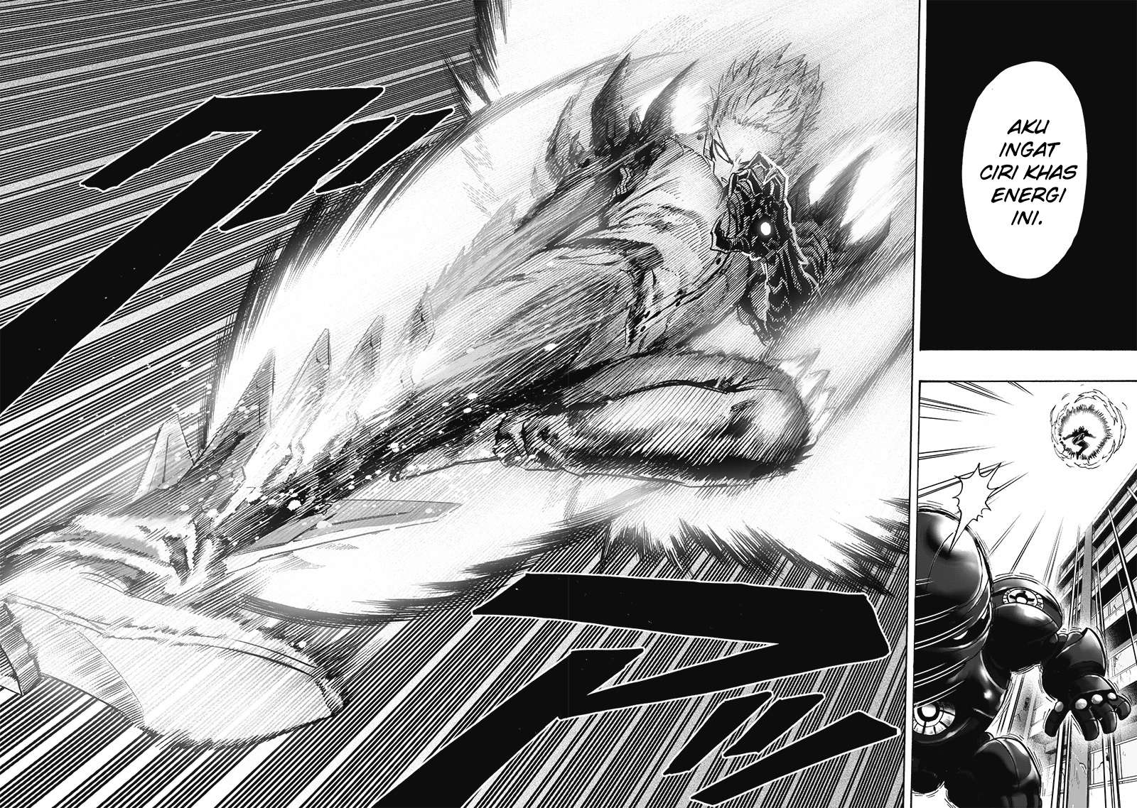 One Punch Man Chapter 169 25