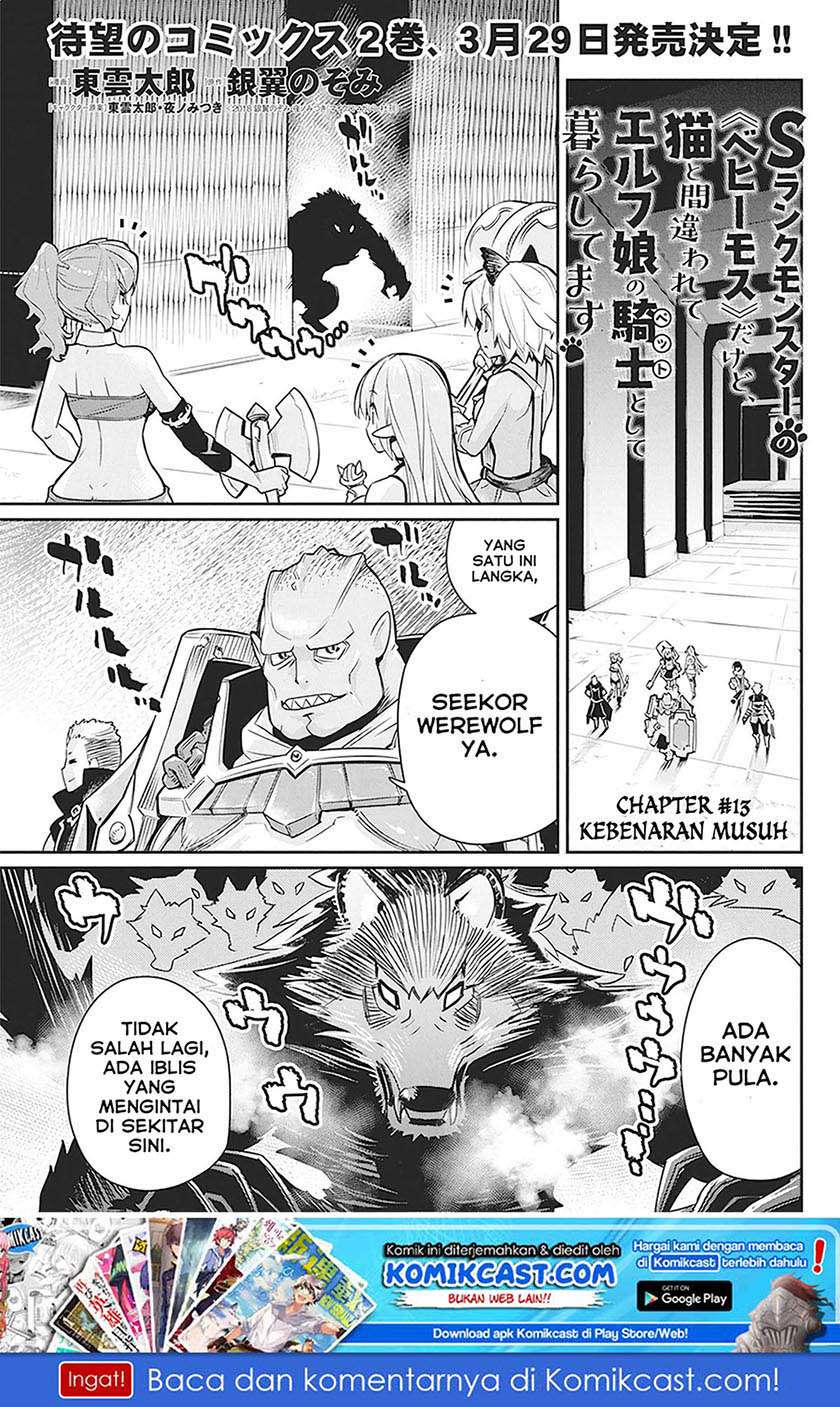 Baca S-Rank Monster no Behemoth Dakedo, Neko to Machigawarete Erufu Musume no Kishi (Pet) Toshite Kurashitemasu Chapter 13 Gambar 2